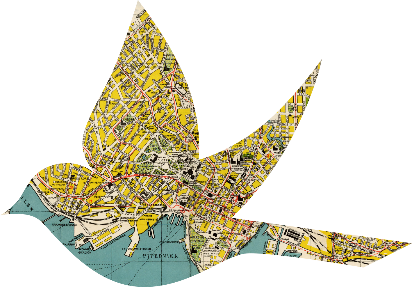 Scanned Weathered Bird-shaped Map Scrap